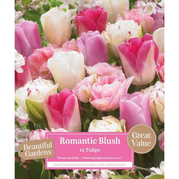 Tulip Romantic Blush - 12 Bulbs